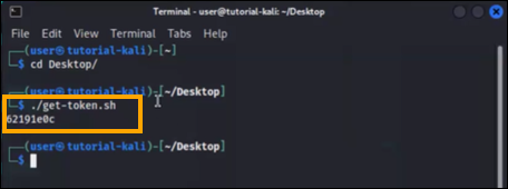 The script get-token.sh in a gamespace terminal window